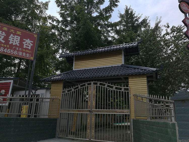 郫縣友愛鎮銀杏莊園農家樂樹脂瓦門頭